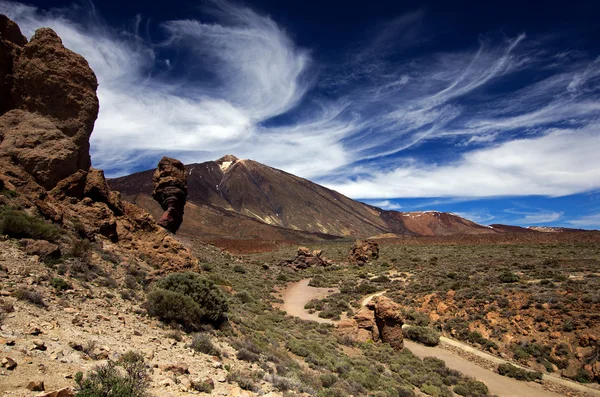 Tenerife — Stock Photo, Image