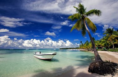 Saona Beach Dominik Cumhuriyeti
