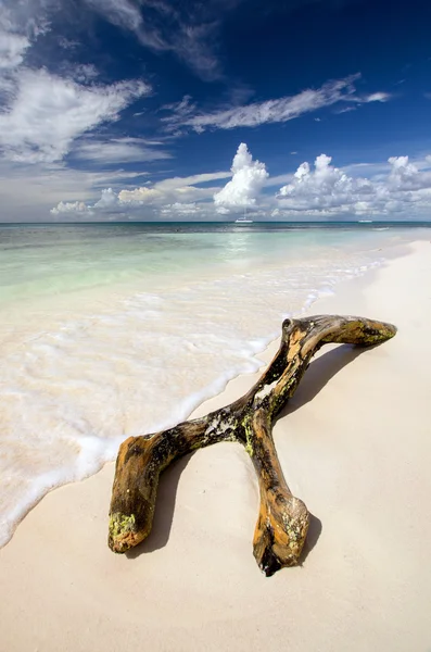Saona Beach República Dominicana — Foto de Stock