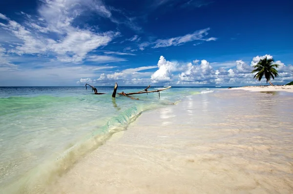 Saona Beach República Dominicana — Foto de Stock