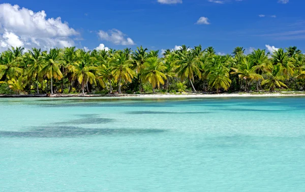 Saona παραλία Δομινικανή Δημοκρατία Royalty Free Εικόνες Αρχείου