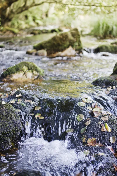 Río — Foto de Stock