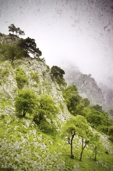 Picos da Europa — Fotografia de Stock