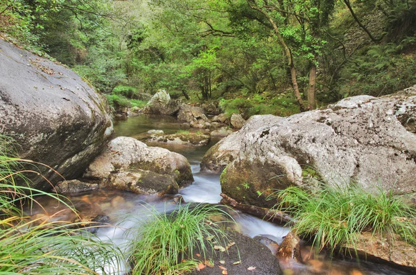 Fiume — Foto Stock