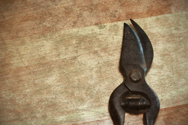 Rusty garden scissors — Stock Photo, Image