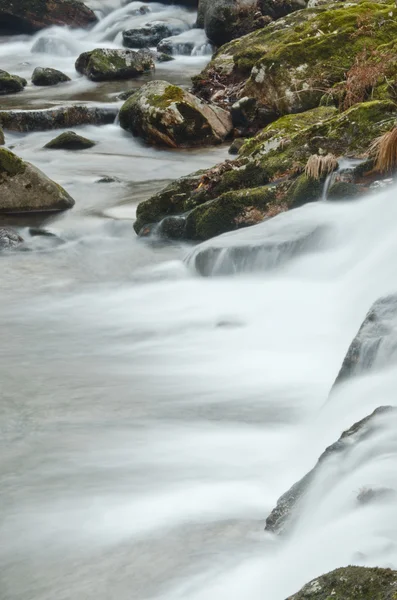 Rio das montanhas — Fotografia de Stock