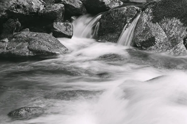 Rivière de montagne — Photo