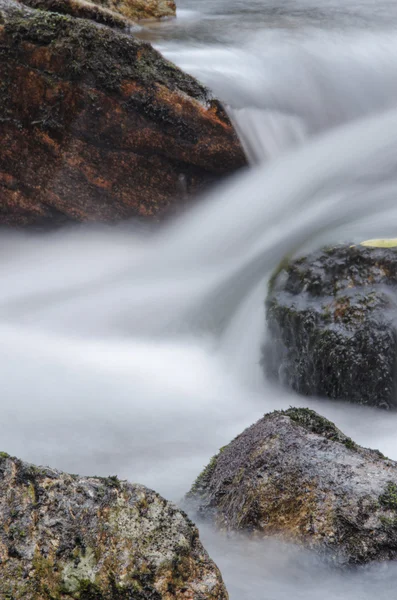 Rivière de montagne — Photo