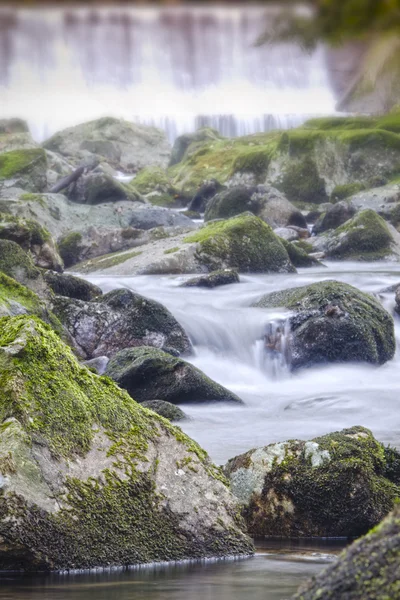 Waldbach — Stockfoto