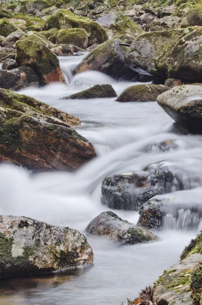 Rio das montanhas — Fotografia de Stock