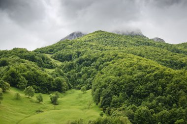 Picos de Avrupa dağlar