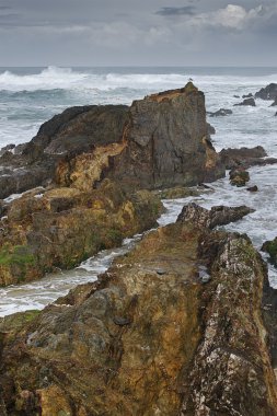 Atlantik kıyı şeridi