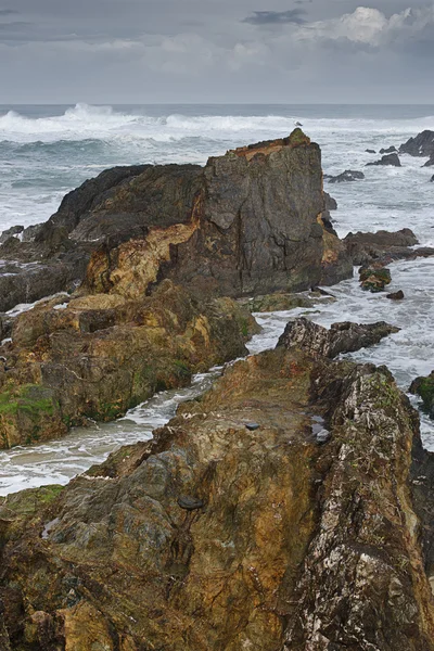 大西洋の海岸線 — ストック写真