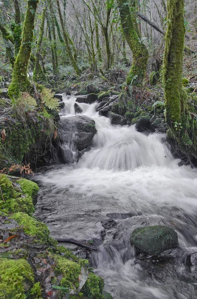 Eume floden — Stockfoto