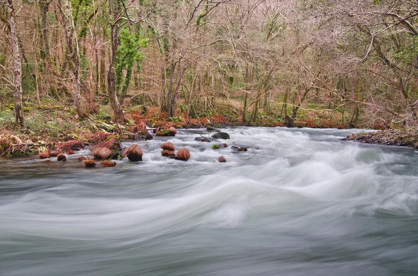 Río Eume — Foto de Stock