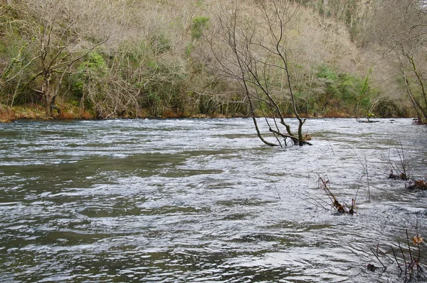 Eume Nehri — Stok fotoğraf