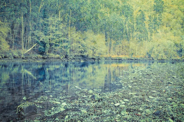 Eume floden — Stockfoto