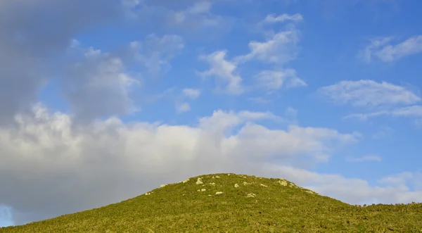 Paisaje primavera — Foto de Stock