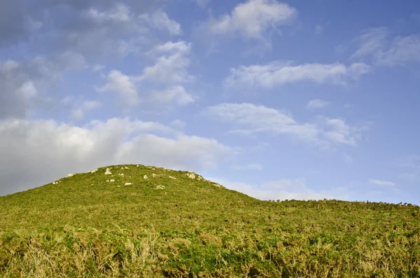 Lente landschap — Stockfoto