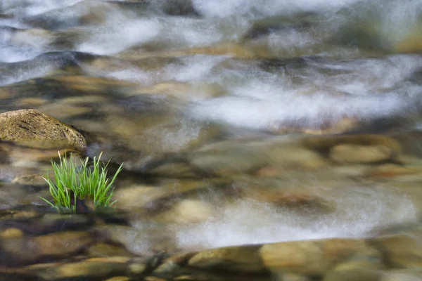 Hegyi folyó — Stock Fotó