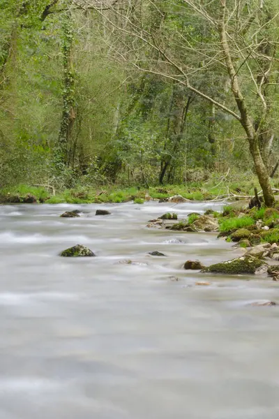 Dağ nehri — Stok fotoğraf