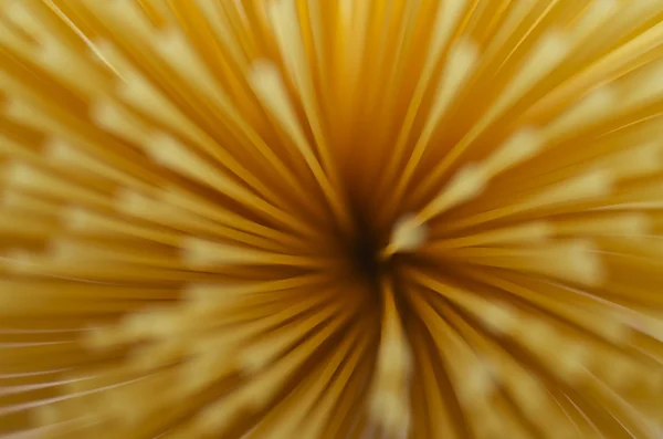 Спагетти-паста — стоковое фото