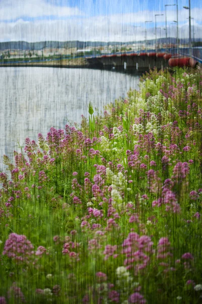 Överbryggar — Stockfoto