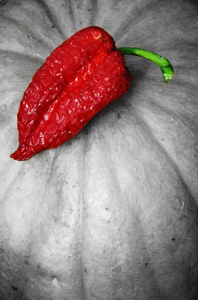 Pimenta vermelha na abóbora — Fotografia de Stock