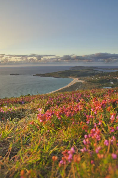 Puesta de sol en la costa . — Foto de Stock