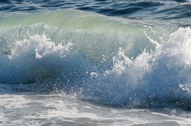 Splash dalga sahilde.