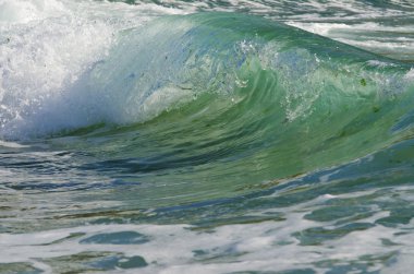 Splash dalga sahilde.