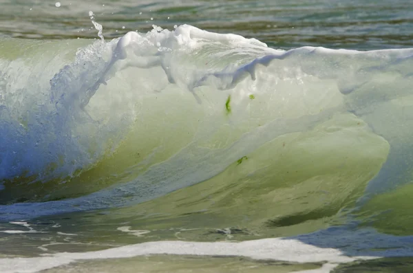 Salpicadura de ola en la playa . —  Fotos de Stock