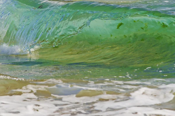 Splash dalga sahilde. — Stok fotoğraf