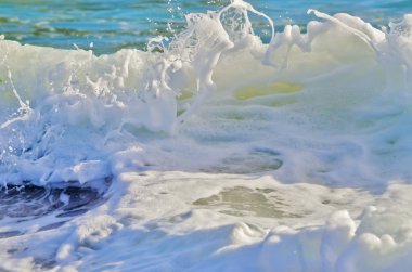 Splash dalga kenarı