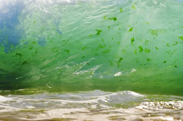 Splash dalga sahilde. — Stok fotoğraf