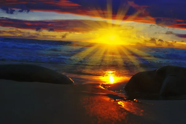 Тропический фон восхода солнца — стоковое фото
