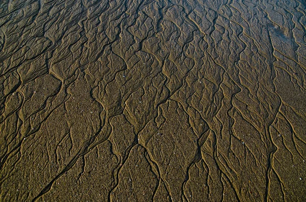 Lijnen op het natte zand — Stockfoto