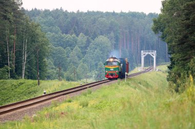 Yeşil mazot lokomotifi ile güzel bir ormanda yük treni