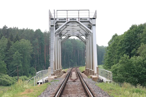 Eisenbahnbrücke Wald — Stockfoto