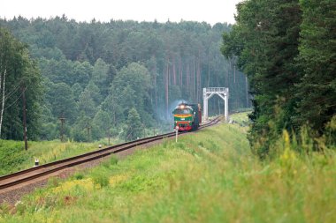 Yeşil mazot lokomotifi ile güzel bir ormanda yük treni