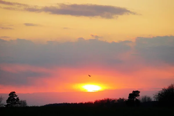 Doğada olağandışı güzel bir gün batımı