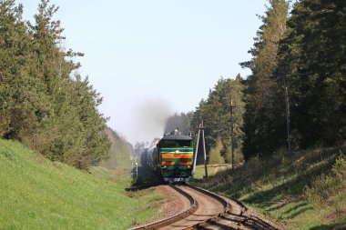 Yeşil mazot lokomotifi ile güzel bir ormanda yük treni