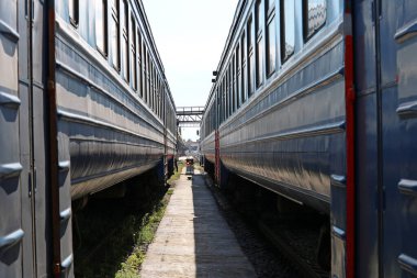 Tren istasyonunda trenler