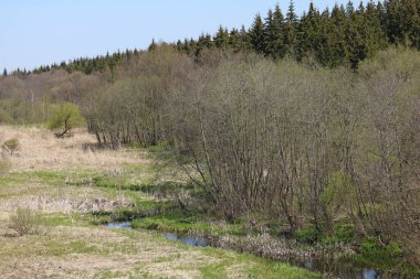 İlkbaharın başlarında doğa