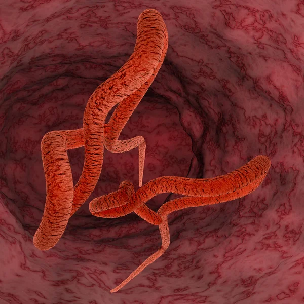 Ebola virus — Stock Photo, Image