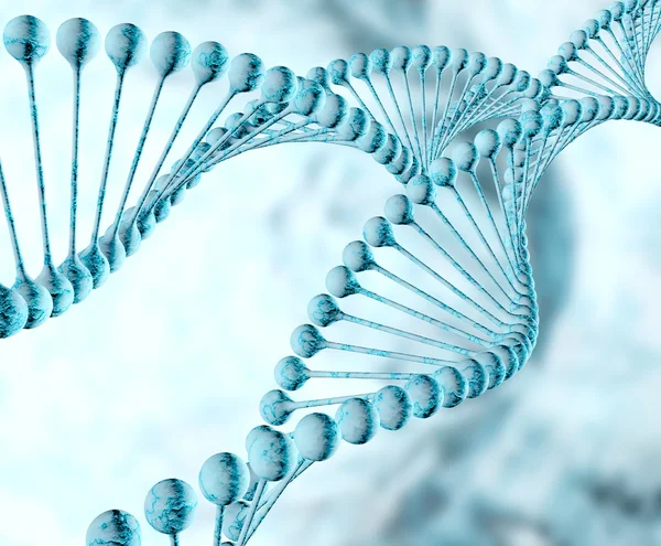 DNA Helix