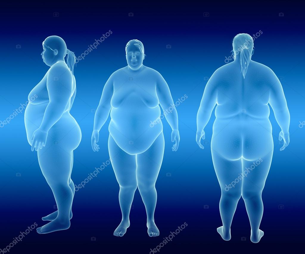 Women Body Types Stock Illustration - Download Image Now - Women, The Human  Body, Overweight - iStock