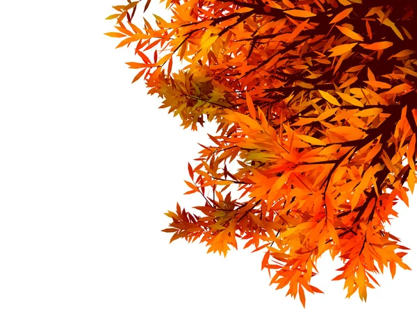 Colorful autum background with  leaves — Stock Photo, Image