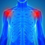 Human Joints Concept — Stock Photo © lightsource #19543787