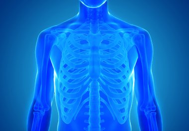 İnsan anatomisi görünümünü x-ışını